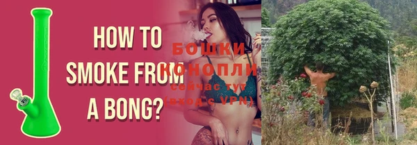 гидропоника Лиски